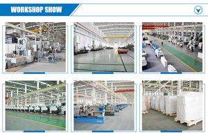 <span class=keywords><strong>2025</strong></span> tùy chỉnh 120 tấn Độ chính xác cao chuyên nghiệp khuôn cắt CNC Punch máy cho kim loại - Product Image 6