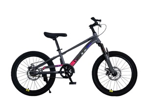 Vélo de montagne pour enfants pour les élèves du collège et du lycée Fourches avant amortissantes Freins à disque Selle réglable - Product Image 4