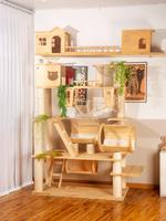 Arbre à chat moderne de luxe en bois avec griffoir en sisal, jouets écologiques et structure d'escalade