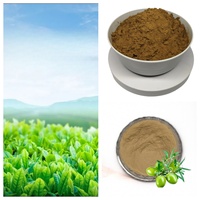 Gomme Arabe Naturelle Épaississant Alimentaire Extrait d'Acacia Sénégal Gomme Arabe Poudre Fibre Gomme d'Acacia
