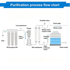Planta de Tratamiento de Agua por Ósmosis Inversa Industrial de 250 LPH para Sistema Purificador de Agua Potable con 99% de Desalinización, Precio de Fábrica - Product Image 2