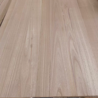 Offre Spéciale : Panneaux en Bois Massif de Paulownia, Plaques de Bois Massif, Prix des Planches de Paulownia