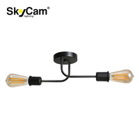SkyCam OEM/ODM irrégulier Simple moderne salon monté en Surface plafonnier Art en fer