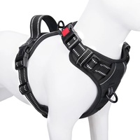 Harnais pour chien en nylon solide respirant et réglable, personnalisable avec étiquette privée OEM, avec fermeture à boucle pour chiens de petite, moyenne et grande taille
