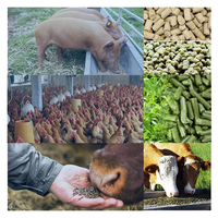 En STOCK – Nouvelle machine à granulés d'aliments pour animaux certifiée CE, idéale pour la maison et les petites exploitations agricoles, pour la volaille, le bétail et les aliments aquatiques.