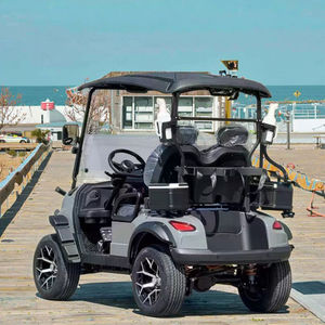 Vente flash : Voitures de golf électriques tout-terrain 2 places, batterie au lithium, voitures de golf électriques tout-terrain - Product Image 1
