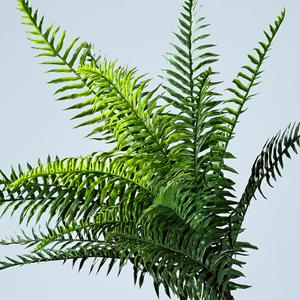 Plante artificielle de fougère impériale Mengjie Handicrafts, 17 branches, 30cm-100cm, pour décoration de mariage et d'intérieur, végétation décorative - Product Image 4