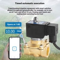 Vanne de contrôle sans fil en laiton DN20 AC220V, système de nettoyage automatique de panneaux solaires, électrovanne intelligente DC24V DN25 DN50