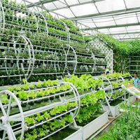 Explosion de serres hydroponiques certifiées ISO en Chine, serres à tomates, serres hydroponiques personnalisées