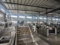 Commerciële industriële fruit- en groentewasmachine, wasapparatuur voor saladeverwerking