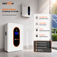 Batterie LiFePO4 murale PATTERN 25,6V 350Ah 8,96kWh, 6000 cycles, 80% DOD pour stockage d'énergie solaire domestique