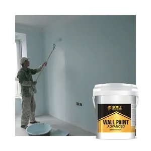 Peinture murale à base d'eau résistante à la moisissure pour intérieur, couleur personnalisée