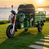 Tricycle électrique certifié CEE, capacité de charge de 585 kg, caisse de chargement de 1600 mm, autonomie de 60 à 80 km, tricycle électrique homologué pour l'Europe, autonomie de 45 km