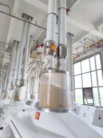 Moulin à farine de blé professionnel pour usage agricole, moteur 380V, nettoyage automatique, haute capacité, broyage facile des engrenages