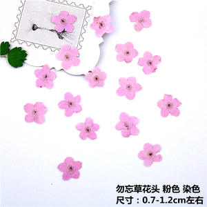 Y-E011 de resina Floral, flor no prensada, flores secas prensadas para joyería, decoración artística de uñas de resina - Product Image 6