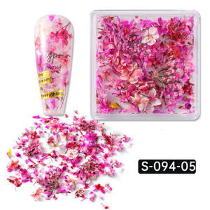 Nail Art Décorations Délicates Fleurs Séchées en 3D pour Nail Art, 1 Boîte, Accessoire de Beauté - Product Image 6