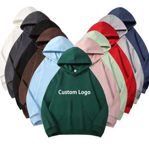 Pull à capuche en coton 100% de haute qualité, couleurs personnalisées, coupe classique, imprimé en relief, logo personnalisé, pour homme, automne, salle de sport, vente chaude - Product Image 1