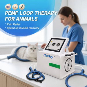 เครื่องบำบัด Tecar และ PEMF หน้าจอสัมผัส 8 นิ้ว ได้รับการรับรองมาตรฐาน CE สำหรับซ่อมแซมกล้ามเนื้อสัตว์ 2 in 1 เครื่อง Tecar Pemf สำหรับม้า - Product Image 1