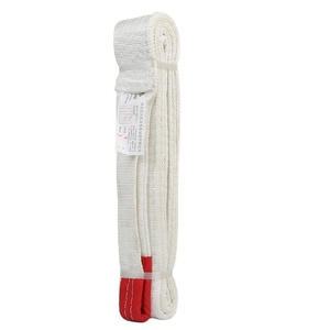 맞춤형 리프팅 장비 끝없는 유형 슬링 견인 스트랩 리프팅 벨트 좋은 가격 - Product Image 6