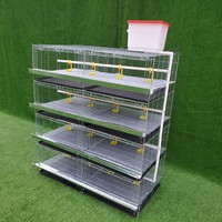 Cage à 4 niveaux pour petits poussins Cage à eau automatique pour poulets d'élevage de bébés