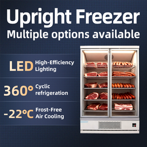 Congélateur vertical commercial avec portes vitrées, réfrigérateur vertical pour supermarché, congélateur pour crème glacée - Product Image 5