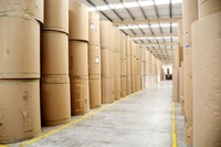 Rouleau de papier pour traceur CAO de haute qualité 160 cm, rouleau de papier pour traceur CAO avec 30, 42, 45 grammes