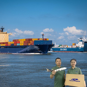 Agent d'expédition le plus rapide et le moins cher de Ningbo, Shanghai, Guangdong, Farred Forward Ship, Chine vers les États-Unis, le Royaume-Uni, le Japon, le Canada - Product Image 1