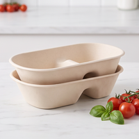Handige, wegwerpbaar, biologisch afbreekbare voedselcontainers van suikerrietpulp, lunchbox voor salade en fruit