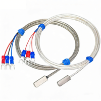 Thermistance PT100 de type patch, capteur de température adhésif, sonde de surface, haute température, étanche