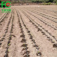 Ruban d'irrigation goutte à goutte d'un gallon, espacement des lignes de 10 cm, kit de goutteurs d'arrosage pour serre agricole