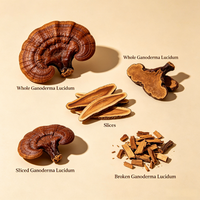 Matière première de champignons Ganoderma Lucidum Reishi pour tisanes, boissons fonctionnelles, pâtisseries, snacks, savons et masques au goût naturel
