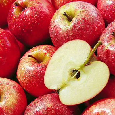 Produsen Apple segar di Cina Apel Gala Fuji merah
