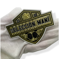 Vente en gros de logos personnalisés écologiques pour équipes de football, impression 3D, transfert thermique avec TPU