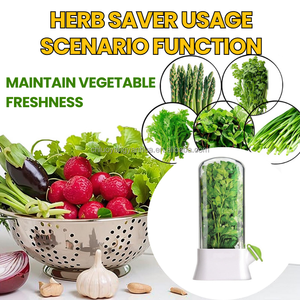 Boîte de conservation des herbes fraîches transparente pour la cuisine, boîte de conservation à la vanille, récipient de stockage des herbes en plastique pour réfrigérateur - Product Image 4