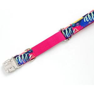 Collares para Perros Hechos a Mano de Alta Gama, la Mejor Calidad, Diseño Único y Personalizado para Dálmata, <span class=keywords><strong>Pitbull</strong></span> Americano y Bulldog Francés - Product Image 6