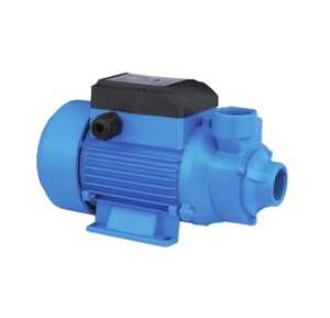 Pompa Elettrica DC 12V/24V SQB Vortex Booster con Motore DC da 1 Pollice, Garanzia 1 Anno, <span class=keywords><strong>per</strong></span> <span class=keywords><strong>Irrigazione</strong></span> Domestica e Agricola, Pompa Solare <span class=keywords><strong>per</strong></span> Acqua - Product Image 2