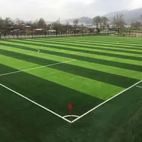 משלוח מדגם זול 50mm מוסמך כדורגל דשא סינטטי דשא דשא עבור כדורגל משפט