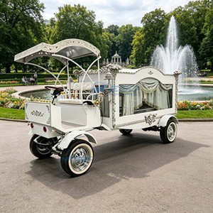 Coches Funerarios Eléctricos a Batería con Neumáticos de Goma Sólida, Precio Bajo Directo de Fábrica - Product Image 1