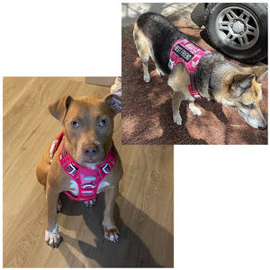 สายจูงสุนัขแบบยุทธวิธีสีชมพูสำหรับสุนัขขนาดใหญ่สายจูงสุนัขพร้อมด้ามจับเสื้อกั๊กสุนัขบริการสะท้อนแสง - Product Image 3