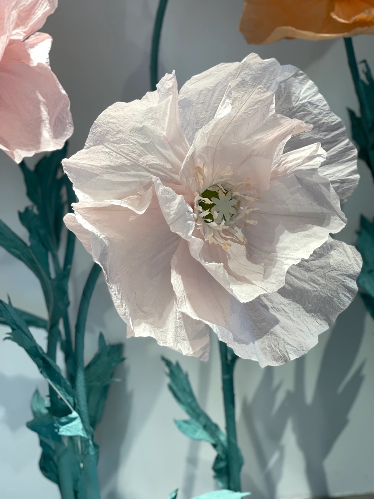 light pink