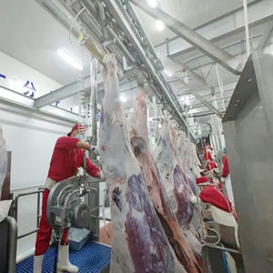 Ligne d'habillage d'abattoir de bovins <span class=keywords><strong>halal</strong></span> design moderne machines de <span class=keywords><strong>boucherie</strong></span> de bovins équipement d'abattoir de boeuf machine d'abattage de vaches - Product Image 4