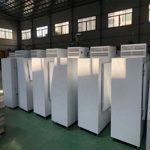 Đơn nhiệt độ ngoài trời nghiêng rắn cửa tủ đông làm mát trực tiếp đóng gói Băng lưu trữ phong cách máy nước đá - Product Image 6