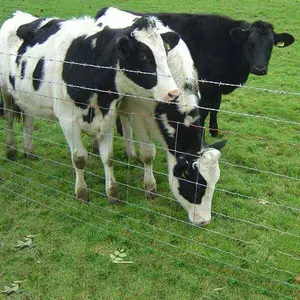 Cerca de malha travada cruzada do campo do cavalo do nó 1.2m