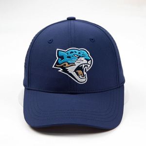 Gorra de Béisbol OEM de Poliéster con Estructura Frontal Rígida, Orificios Láser, Logos Bordados, Visera Plana, Gorra Personalizada de Estilo Urbano - Product Image 1