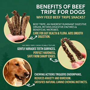 Tripe de bœuf verte coupée en morceaux, sans additifs, pour chiens - Friandises pour chiens séchées à l'air naturel, riches en protéines et faibles en matières grasses - Product Image 5