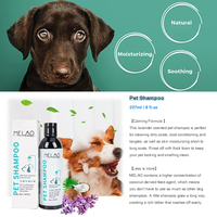 Baume pour pattes et soins dentaires pour chat, shampoing écologique et durable pour petits animaux – Prix usine OEM/ODM sous marque privée