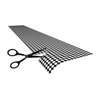 Écran LED transparent holographique ultra-fin P3.91 6.25 pour intérieur, film flexible pour centres commerciaux et ascenseurs avec SDK