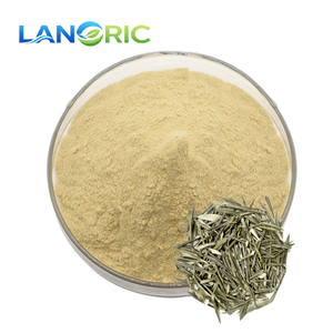 Экстракт листьев оливы Lanoric Supply CAS 32619-42-4 в порошке, 20%, 40%, 70% олеуропеин - Product Image 2