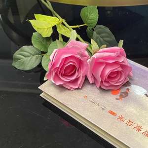 Festa della terra pasqua festa del papà laurea fiori decorativi ghirlande e piante - Product Image 2