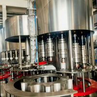Hoogproductieve volautomatische 3-in-1 fruit sap, mineraalwater, bier, warmvulfabriek met pulpcontrole en etiketteermachines